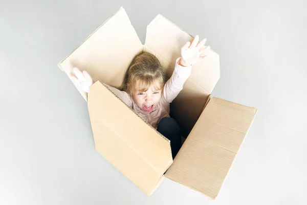 Little screaming girl screams inside a cardboard box. Toned.