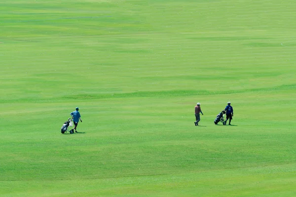 Los golfistas caminan por el campo de golf en un día soleado . —  Fotos de Stock