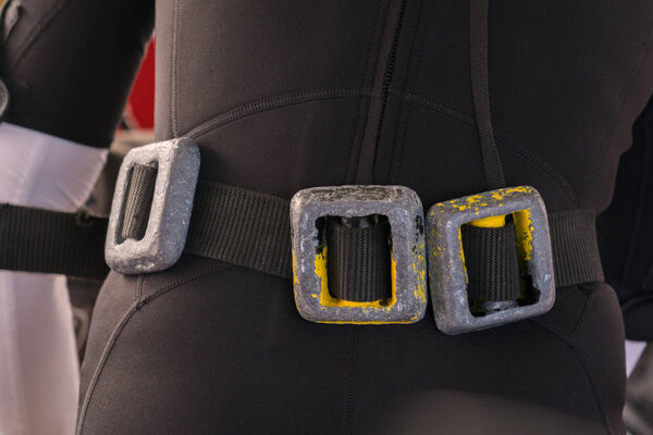 Diver weights belt with lead sinkers, man in a neoprene wetsuit,