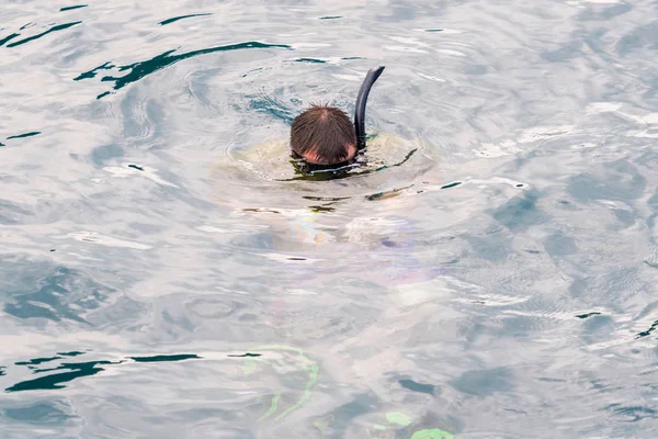Snorkeler flotando en la superficie del agua . — Foto de Stock