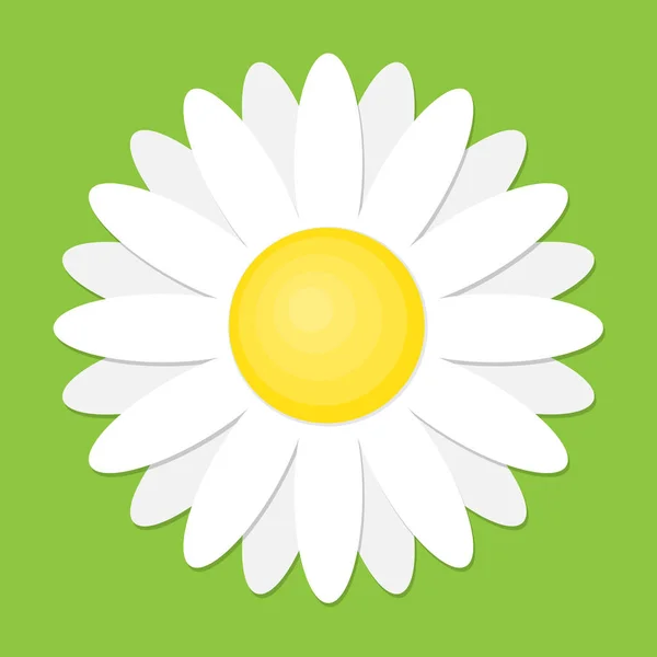 Witte Margriet Kamille Pictogram Vectorillustratie Schattig Bloem Vlakke Stijl — Stockvector