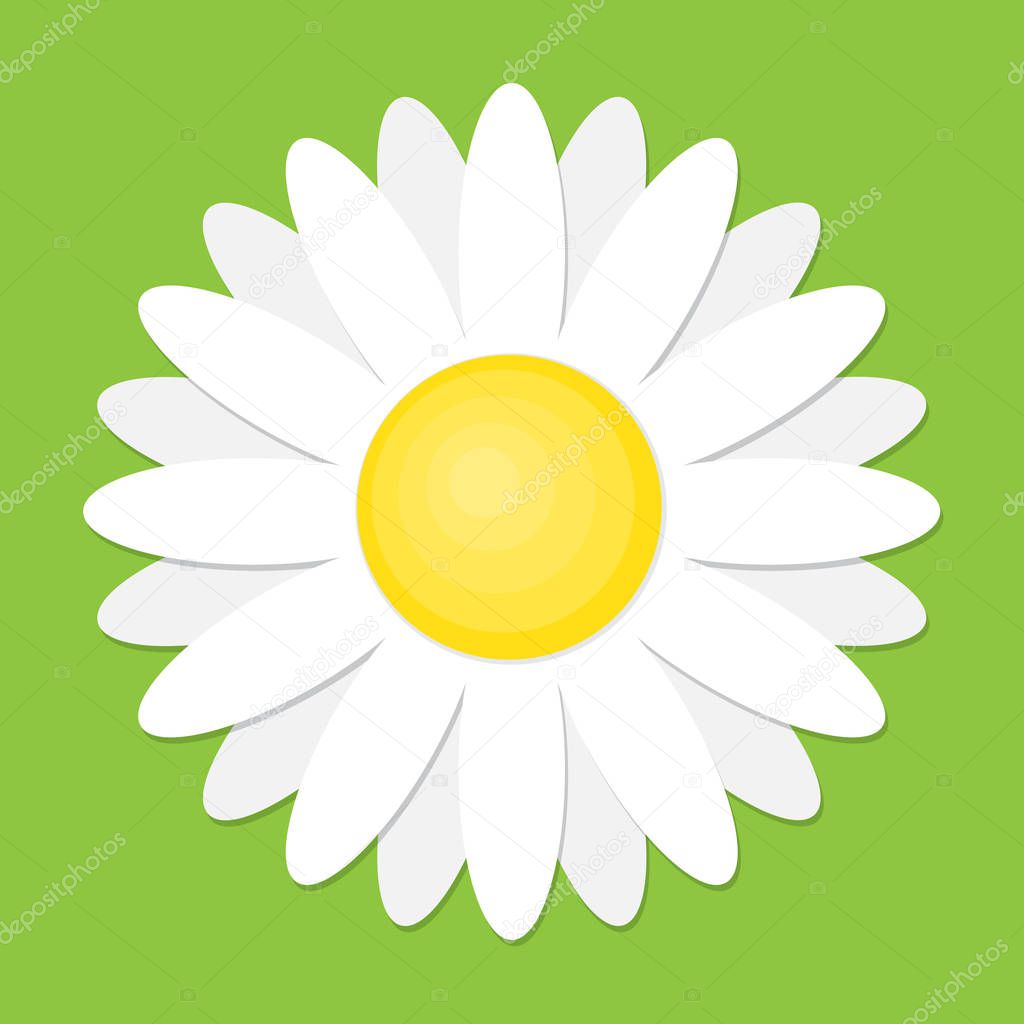 White daisy chamomile icon. Vector illustration. Cute flower in flat style.