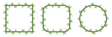 Yaprakları ile yeşil bambu çerçeve kümesi. Vektör çizim. Bambu kaynaklanıyor. Bambu çerçeveler.