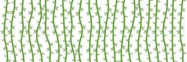 Yeşil Bambu dalları ve yaprakları. Vektör çizim. Bambu arka plan. Bambu kaynaklanıyor. Bambu Ormanı
