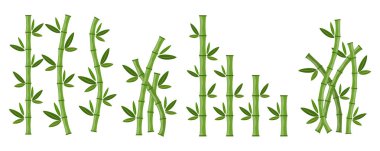 Yeşil Bambu dalları ve yaprakları büyük kümesi. Vektör çizim. Bambu kaynaklanıyor. Bambu simgesi.