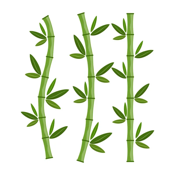 Grön Bambu Grenar Och Blad Vektorillustration Bambu Stjälkar Bambu Ikonen — Stock vektor