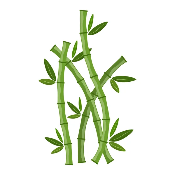Zelené Bambusové Větve Listí Vektorové Ilustrace Bambusové Stonky Ikona Bambus — Stockový vektor