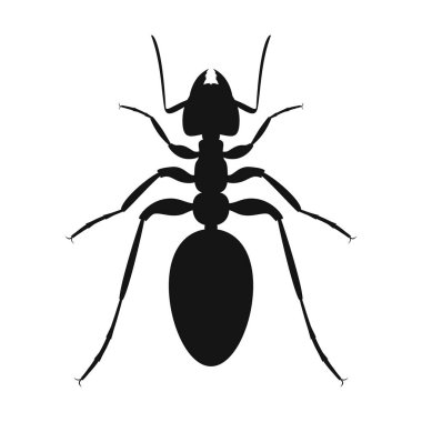 Karınca vektör logosu. Böcek simgesi izole edildi. Siyah karınca silueti. Vektör çizimi. Düz dizayn edilmiş karınca simgesi