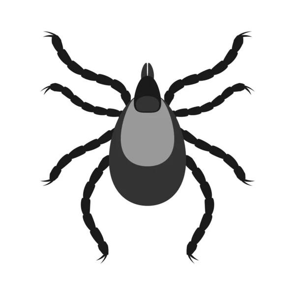 Mijt Parasieten Insect Icoon Geïsoleerd Zwart Silhouet Van Mijt Vector — Stockvector