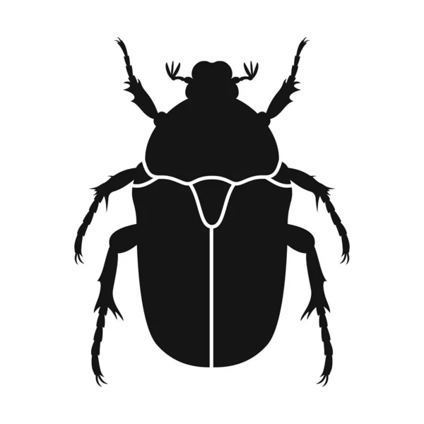 Chafer Vektör Simgesi Siyah Chafer Böceği Silueti Böcek Simgesi Izole — Stok Vektör