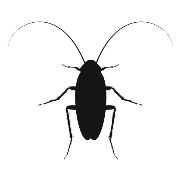 Logo Vecteur Cafard Icône Insectes Isolée Silhouette Noire Cafard Illustration — Image vectorielle