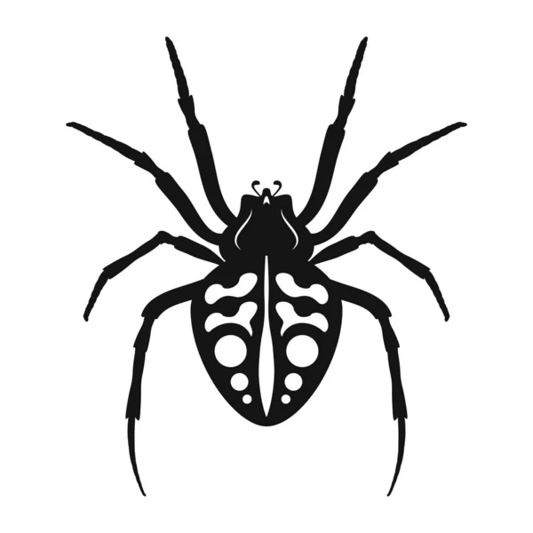 Icono Vector Araña Silueta Negra Araña Icono Insecto Aislado Ilustración — Vector de stock