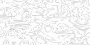 Soyut doğrusal arkaplan. Vektör çizimi. İnce çizgi dalgalı arkaplan.