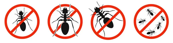 Las Hormigas Con Señal Prohibición Roja Las Hormigas Stop Están — Vector de stock