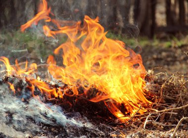 Fire.28.04.2017 yıl