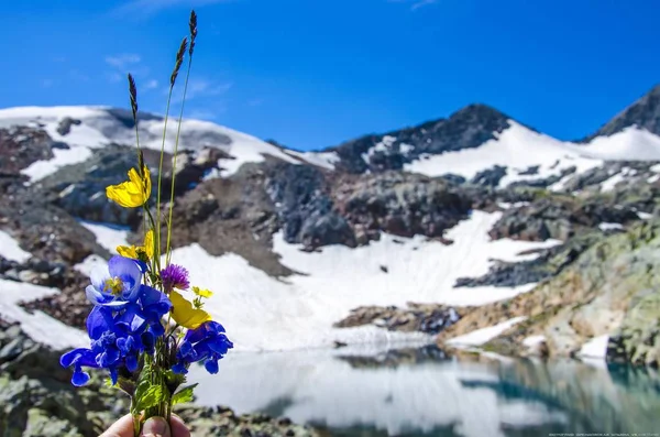 Mountains.Altai territory.07.08.2018 year