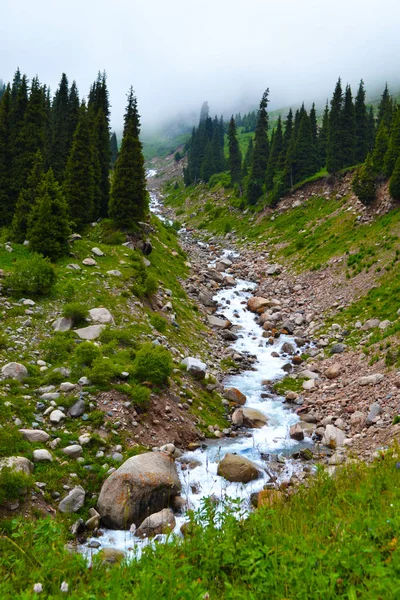 Almatı Şehri Mountains 2016 Yıl — Stok fotoğraf