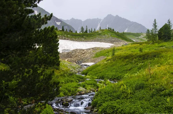 Mountains Altai Territory 2018 Yıl — Stok fotoğraf