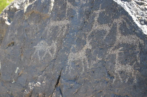 Petroglyphs.Location yapabilirsin-Sunak.Republic, Kazakistan.
