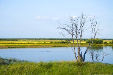 Doğa Altai.02.08.2018 yıl