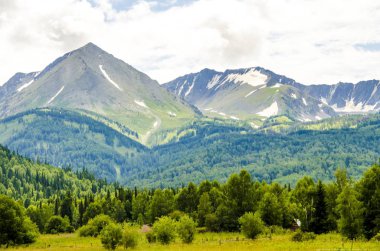 Mountains.Altai bölgesi. Kazahstan.07.08.2018 yıl