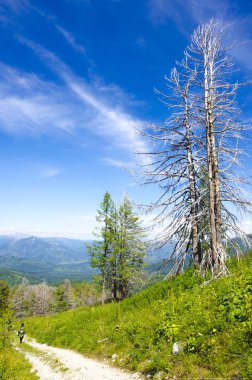 Mountains.Altai bölgesi. Kazahstan.07.08.2018 yıl