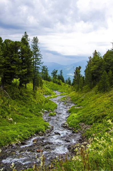 Mountains Altai Territory Kazahstan 2018 Year — Stock Photo, Image