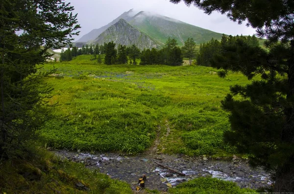 Mountains Altai Bölgesi Kazahstan 2018 Yıl — Stok fotoğraf
