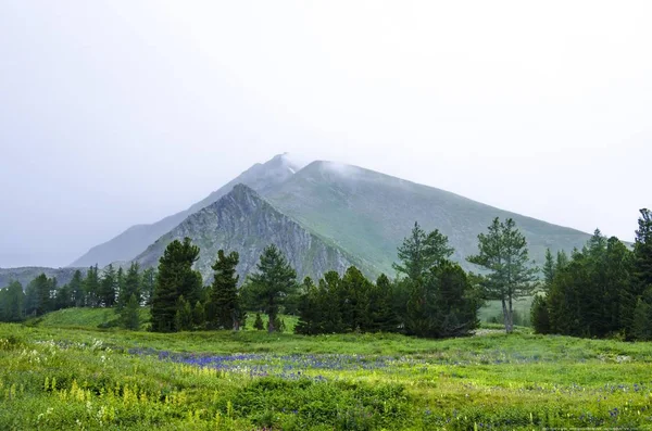 Mountains Altai Bölgesi Kazahstan 2018 Yıl — Stok fotoğraf