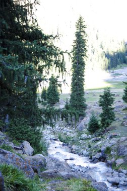 Kırgızistan 'daki dağlar. Doğa.