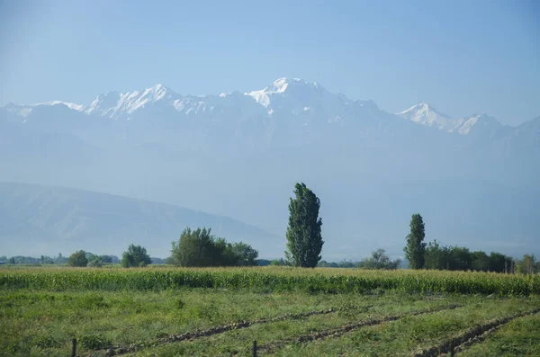 Montagnes Kirghizistan Nature — Photo