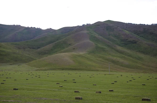 Montagnes Kirghizistan Nature — Photo