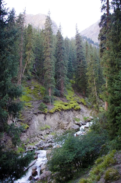 Mountains Kyrgyzstan Nature — Stock Photo, Image