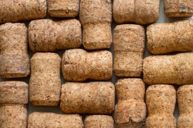 Şampanya mantarları