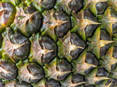 Dokulu ananas derisi yakından. Ananas kabuğu bromelin içerir, bu da sindirime ve iyileşmeye yardımcı olur.