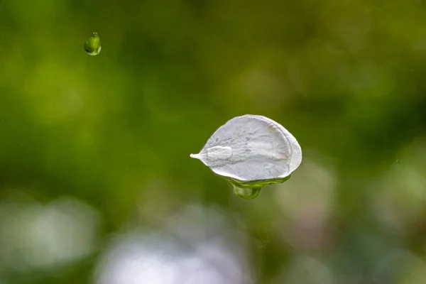 Pétala Branca Uma Macieira Aderida Vidro Chuva Contra Fundo Paisagem — Fotografia de Stock