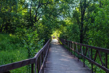 Yeşil ağaçlar ve çalılarla çevrili bir şehir parkında tahta güverteli yaya köprüsü. Uzakta İskandinav yürüyüşü için sopaları olan bir kadının bulanık siluetini görebilirsiniz.