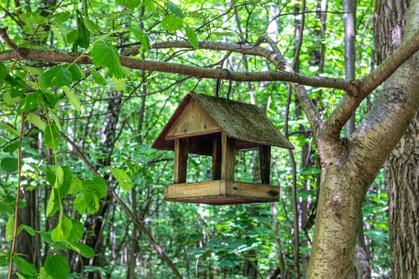 Alimentatore Uccelli Albero Tra Rami Fogliame Verde Nel Parco Della — Foto Stock