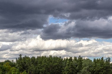 Ağaçların tepesinde yeşil yapraklı fırtına bulutları olan bulutlu bir gökyüzü.