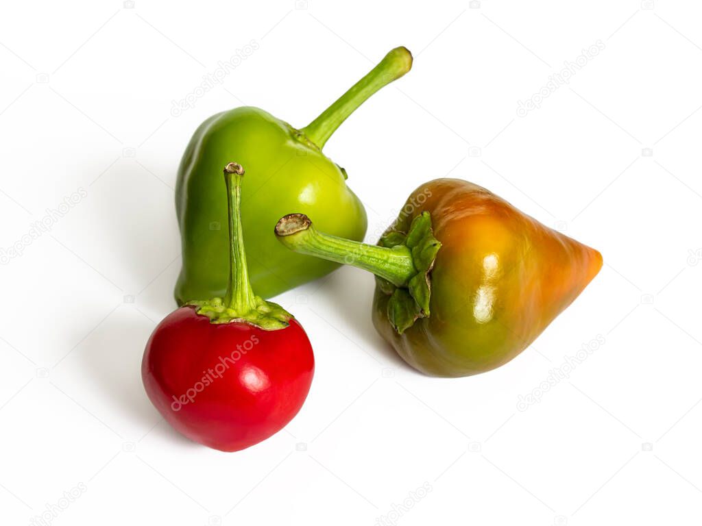Three hot chili peppers in the shape of a heart, different colors on a white background