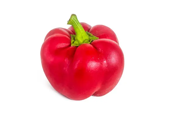 Röd Bell Pepper Med Grön Stjälk Och Fuktig Glänsande Hud — Stockfoto