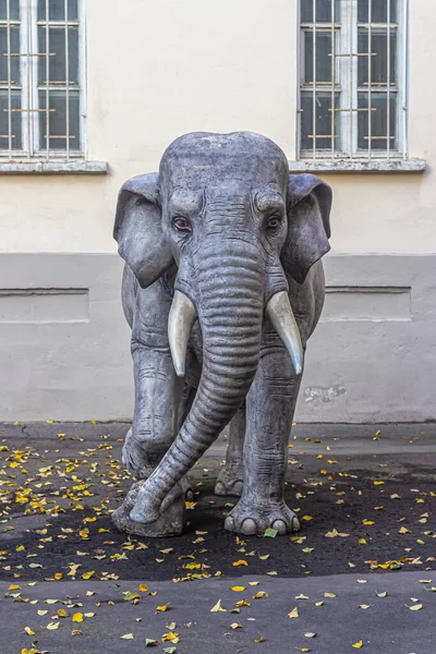 Moskwa Rosja 2020 Posąg Słonia Dziedzińcu Muzeum Wschodu Przy Bulwarze — Zdjęcie stockowe