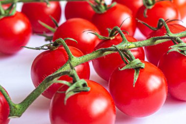 İnce yeşil bir dalda küçük kırmızı kiraz domatesleri, beyaz arka planda izole edilmiş.