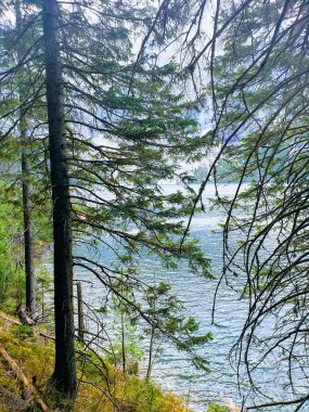 Doğa, merkezi her yerde olan sonsuz bir küredir.