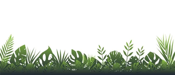 濃い緑色のシダの背景。曇り空の水平装飾熱帯雨林花植物. — ストックベクタ