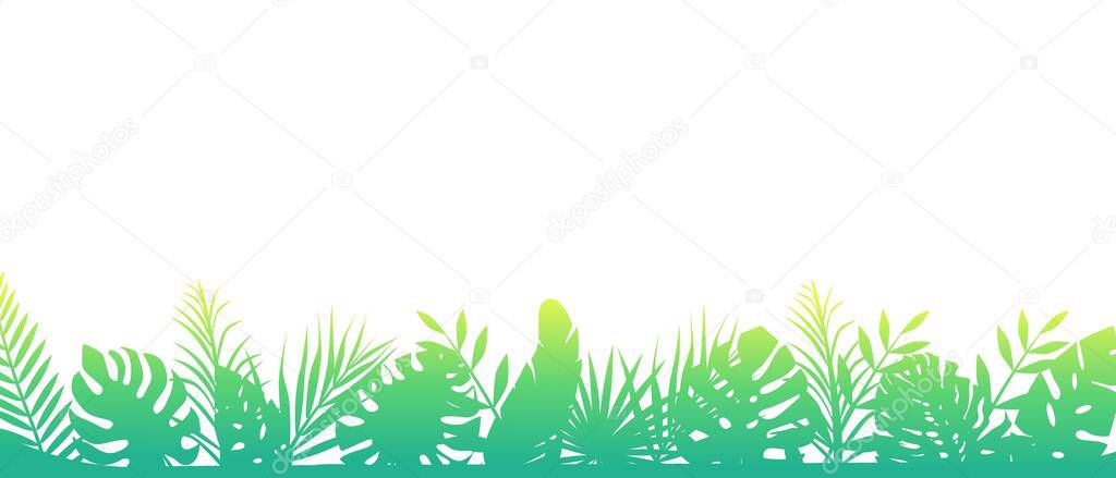 Green morning fern background. Horizontal decoration rainforests floral exotic.