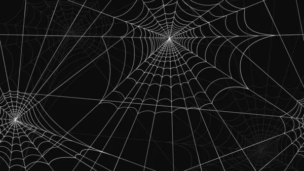 Spindelnät mönster sömlöst. Vit spindel web ritningar på svart bakgrund. — Stock vektor