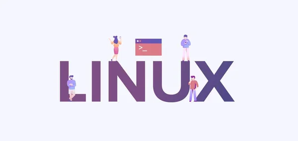 Linux işletim sistemi. İdari teknoloji internet geliştirme platformu yazılımı. — Stok Vektör