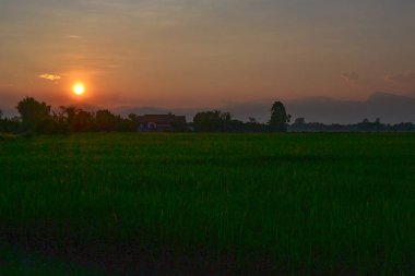 Alacakaranlıktaki alanın manzarası 