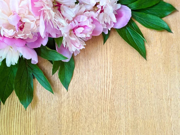 Pfingstrosen Blühen Rosa Farbe Auf Einer Abstrakten Braunen Holzoberfläche Freiraum — Stockfoto